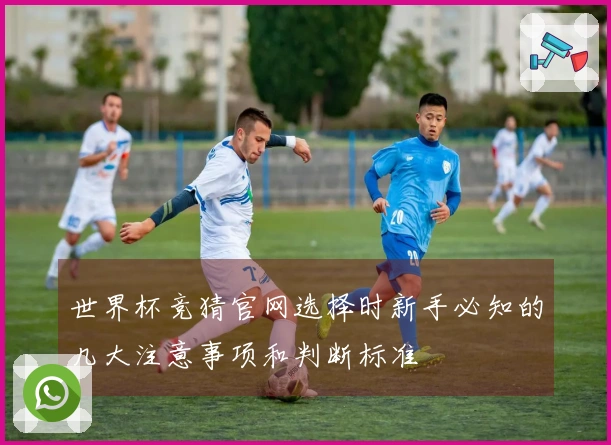 世界杯竞猜官网选择时新手必知的几大注意事项和判断标准