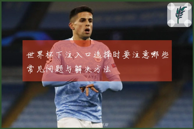 世界杯下注入口选择时要注意哪些常见问题与解决方法