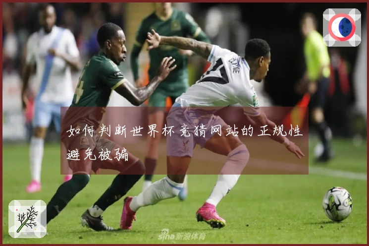如何判断世界杯竞猜网站的正规性避免被骗