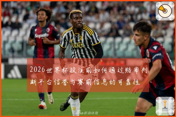 2026世界杯投注前如何通过赔率判断平台信誉与赛前信息的可靠性