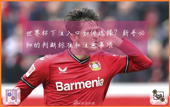 世界杯下注入口如何选择？新手必知的判断标准和注意事项