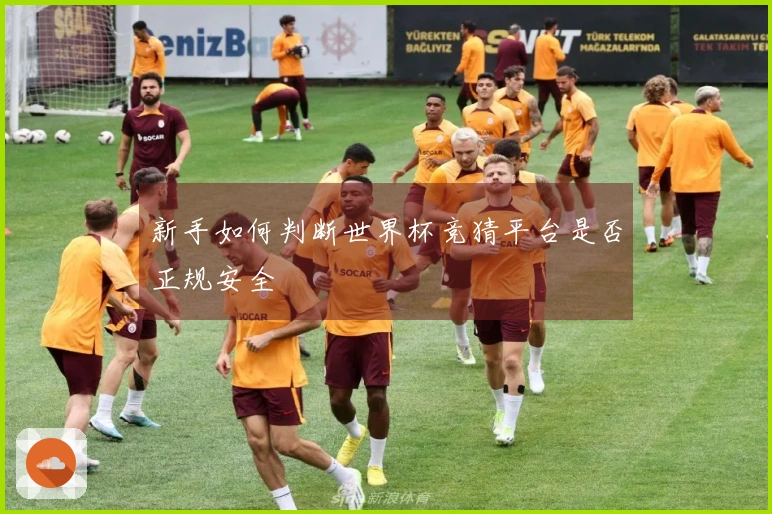新手如何判断世界杯竞猜平台是否正规安全