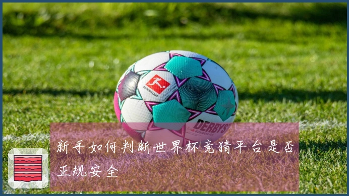 新手如何判断世界杯竞猜平台是否正规安全